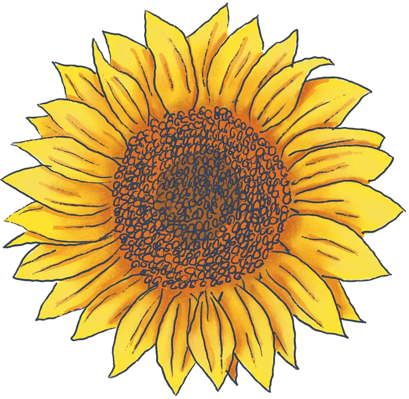 Gambar bunga matahari dibuat dengan tangan